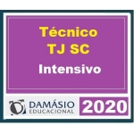 TJ SC Técnico Intensivo (DAMÁSIO 2020)